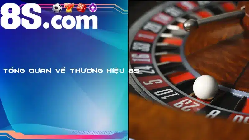 8S - Tổng quan về thương hiệu 8S